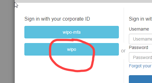 WIPO CASE > 1.- Sign in to the new WIPO CASE > image-2024-6-25_10-25-24.png